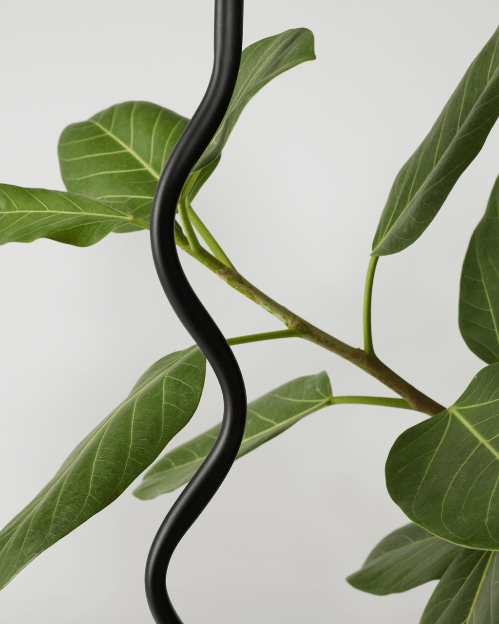 Squiggle Floor Lamp