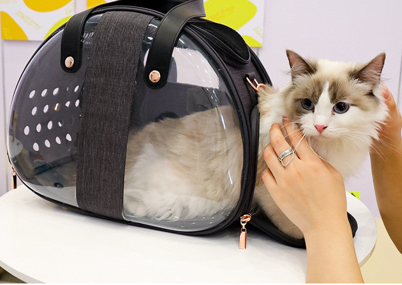 Double Fish Transparent Dog Bag Puppy Cat Cane Backpack