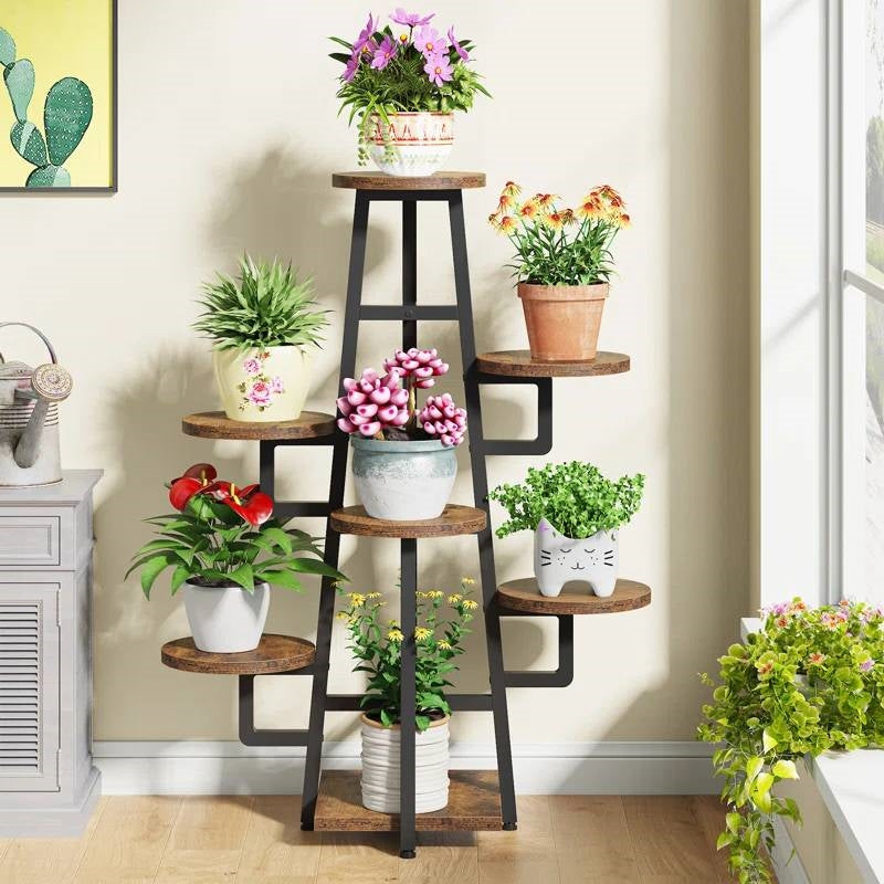 Modern Indoor Multi-Tier Plant Stand with Black Metal Frame