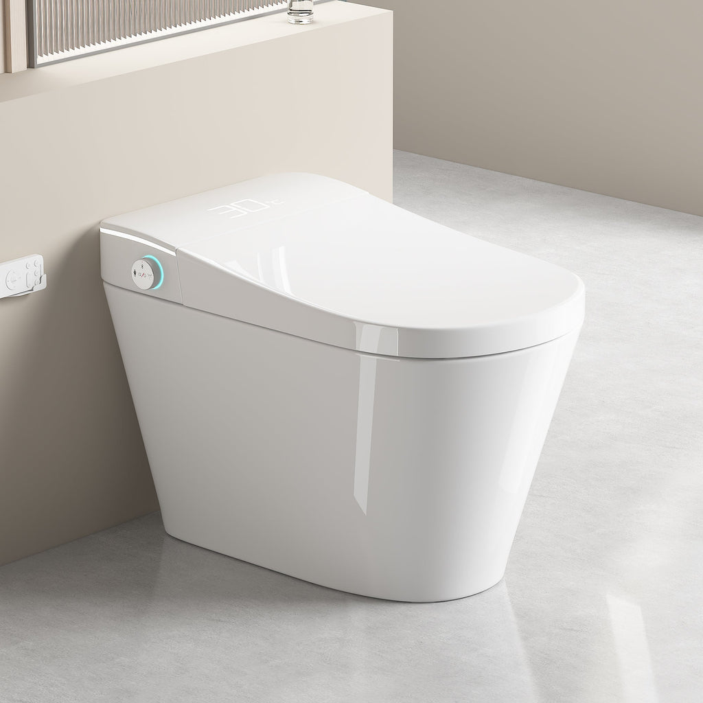 Unique Smart Toilet with Integrated Bidet