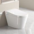 Unique Smart Toilet with Integrated Bidet
